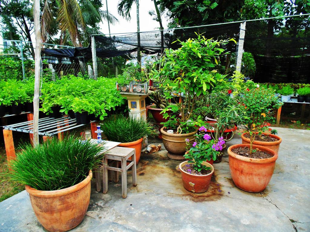 Flower & Frog Homestay Sa Dec Exterior foto